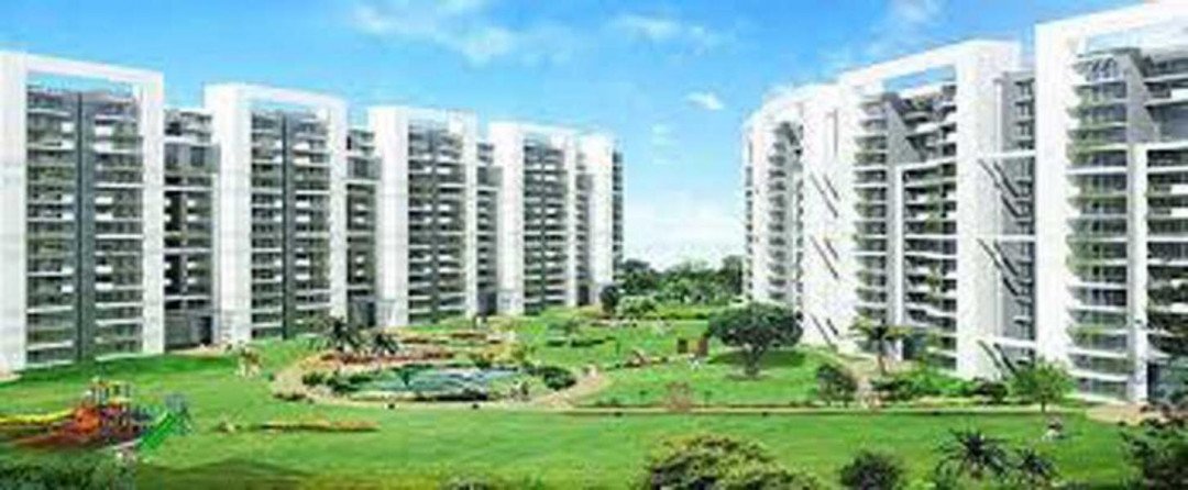  3 BHK for rent in Tulip Violet Sector-69,Gurgaon