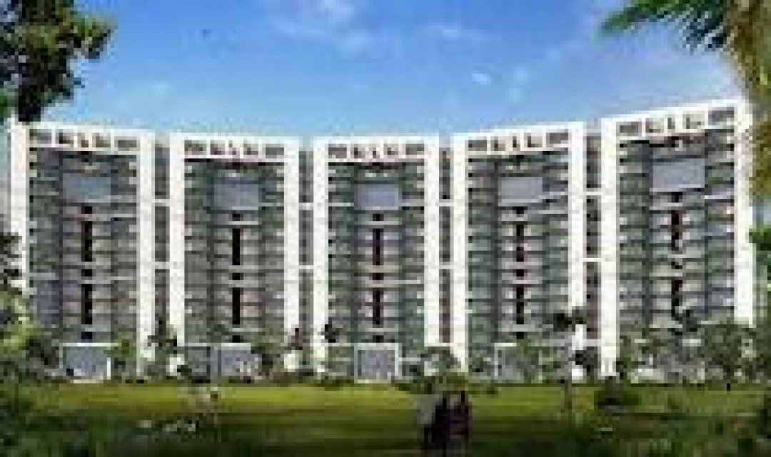  3 BHK for rent in Tulip Violet Sector-69,Gurgaon