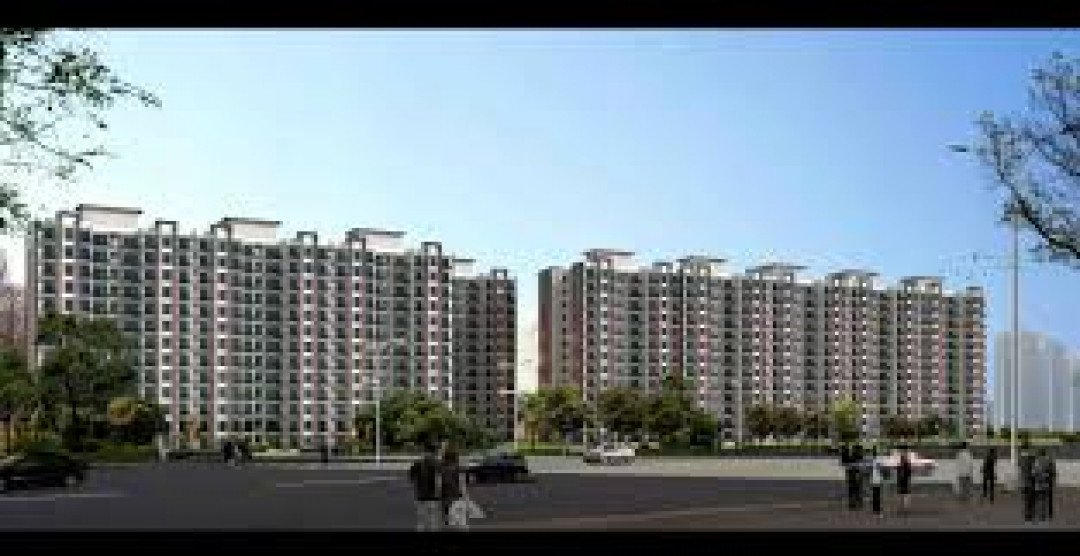  3 BHK for rent in Tulip Violet Sector-69,Gurgaon