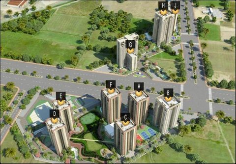 Conscient Heritage Max