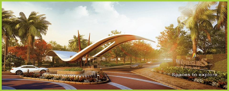 Experion The Westerlies