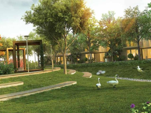 Experion The Westerlies