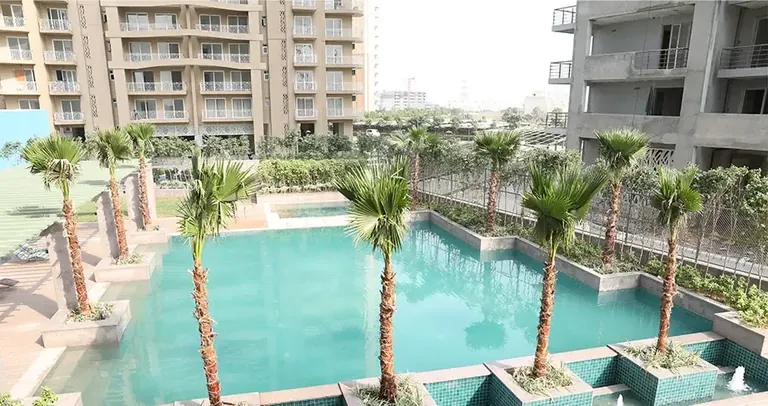 AIPL Zen Residences actual photo of the palm-lined swimming pool