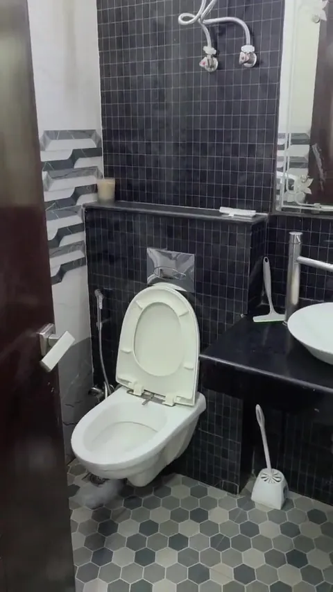 Brisk Lumbini Terrace Homes washroom with dark tiles and a wall-hung WC, actual photograph