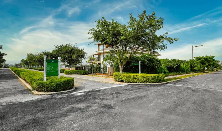DLF Alameda internal road with landscaped hedges and trees, actual photo