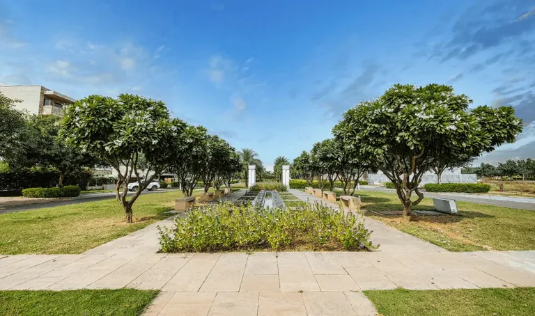 DLF Alameda landscaped central walkway lined with frangipani trees, actual photo