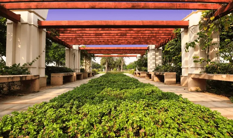 DLF Alameda pergola-covered walkway with planted beds, actual photo