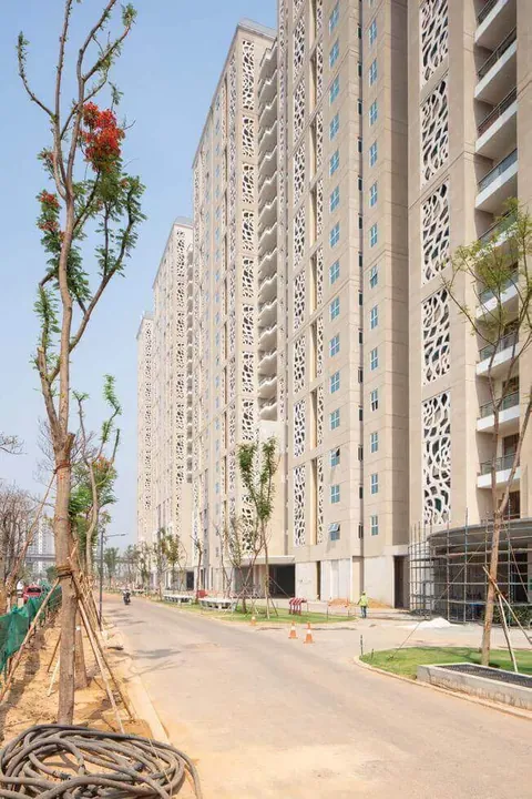 DLF The Camellias tower along the tree-lined internal avenue