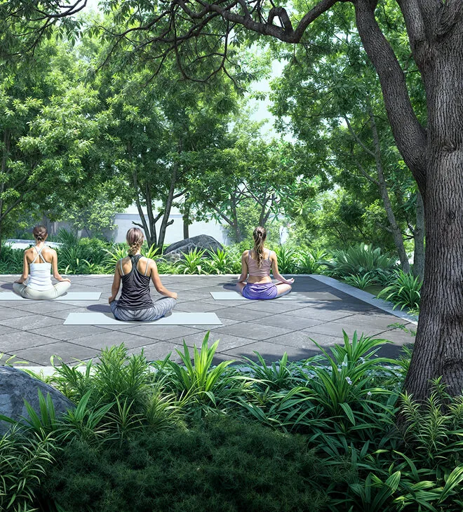 Krisumi Forest Reserve yoga deck under the trees, artist's impression