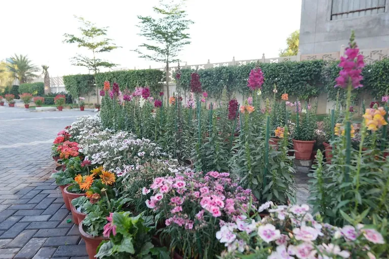 Meffier Golden Park flower beds along a paved walk