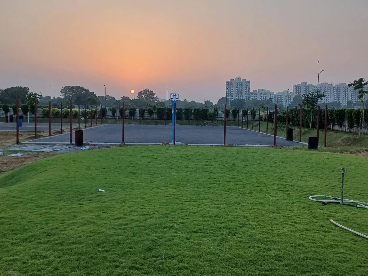 Meffier Golden Park open lawn at sunset