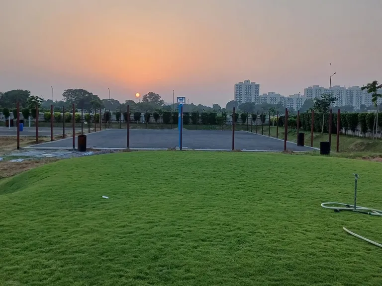 Meffier Golden Park open lawn at sunset