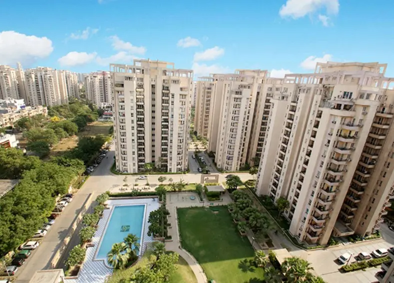 Orchid Petals Sector 49 Gurgaon 