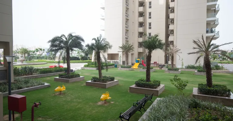 Paras Irene actual photo of the landscaped garden with palms