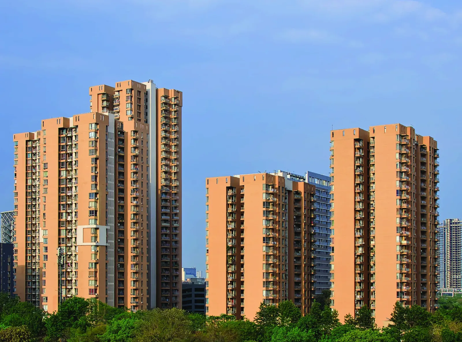 Pioneer Park towers above the trees