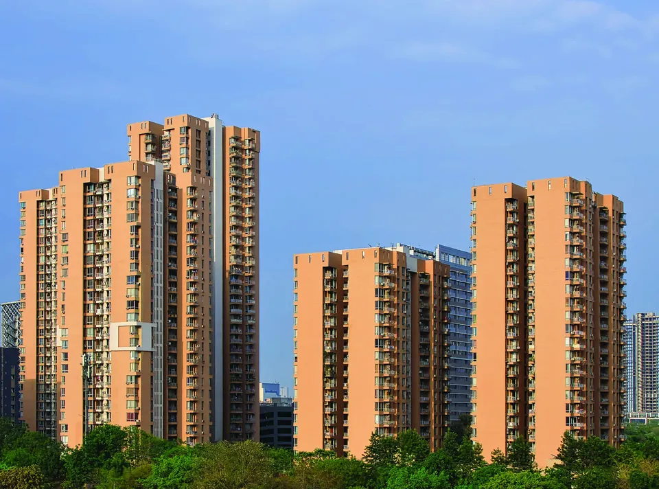 Pioneer Park towers above the trees