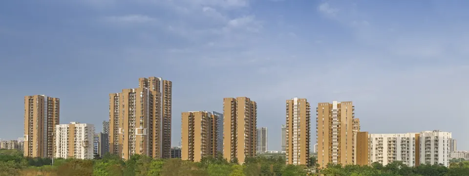 Pioneer Park towers along the skyline