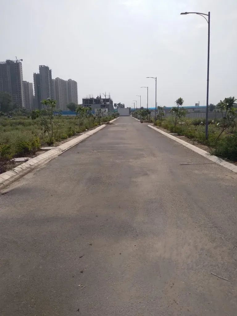 Pyramid Spring Valley internal road with street lights