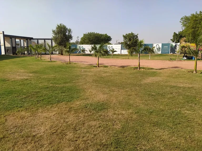 Pyramid Spring Valley open green area