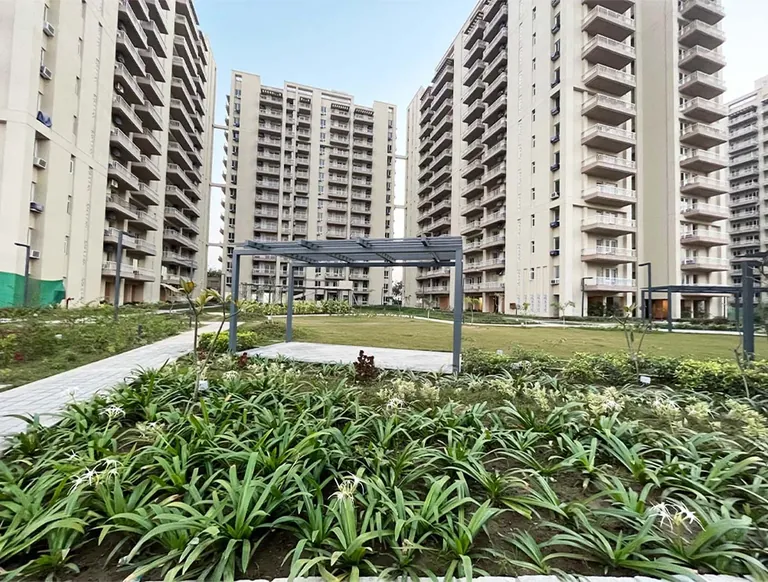 Silverglades The Melia central garden and pergola between towers
