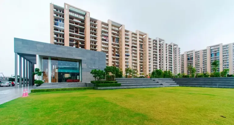 Tulip Violet front lawn, stepped terrace and glass-fronted low-rise building with towers behind