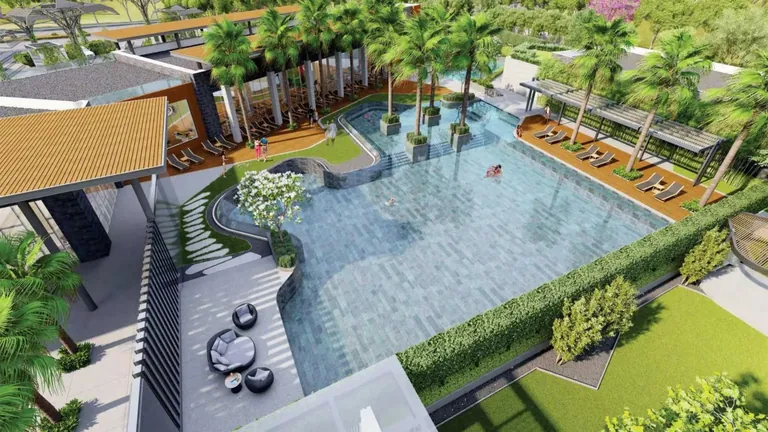 Tulip Yellow swimming pool with sun loungers and landscaped deck from above, artist's impression